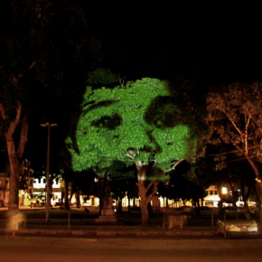 Por que projetar rostos em árvores em Belém?